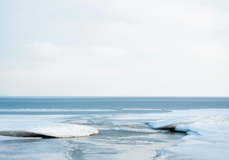 max-bohme-Lu4O-xZ5X4A-unsplash