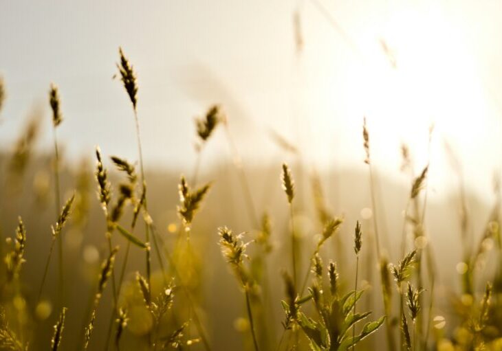 yogesh-pedamkar-Ltw5URjmsG0-unsplash
